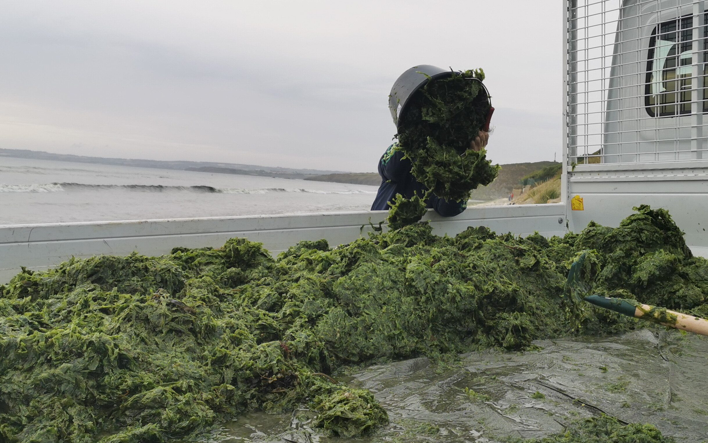 Une tonne d'algues vertes déversée par Greenpeace devant la préfecture du  Finistère